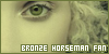 Bronze Horseman, The series